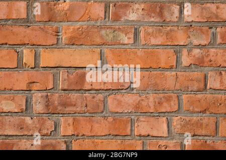 Texture old gray plywood board. wood laminate closeup top view abstract background Stock Photo