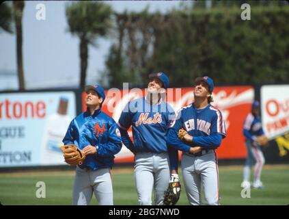 New York Mets Keith Hernandez batting at the spring training baseball  facility in Port St. Lucie, Florida on March 12, 1989 Stock Photo - Alamy