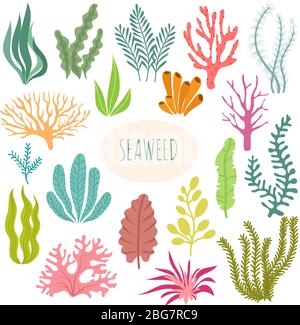 Seaweeds aquarium decoration cartoon set Vector Image