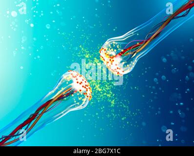 Synapse connections. Structure that permits a neuron (or nerve cell) to pass an electrical or chemical signal to another neuron. Nervous system. Brain Stock Photo