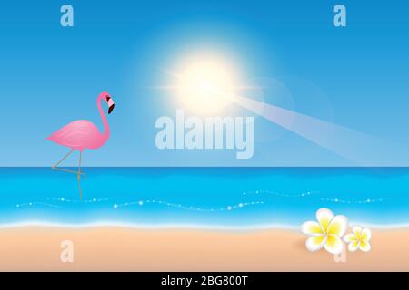 pink tropical flamingo on the beach with white frangipani flowers vector illustration EPS10 Stock Vector