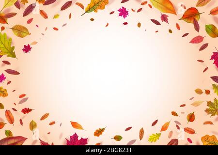 Autumnal background. Autumn falling yellow leaves. Nature season vector backdrop. Autumn fall nature, banner illustration Stock Vector