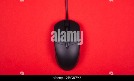 computer black mouse on red background top view. Stock Photo