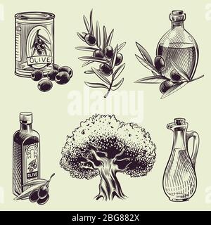 Hand drawing olives. Vintage olive branches oil bottles and can. Mediterranean food harvest vector set. Organic olive oil, branch plant with leaf Stock Vector