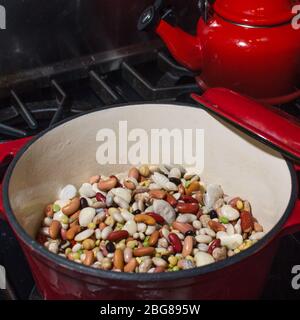 Bean Soup Preparation in Red Cast Iron Enamel Pot Stock Photo