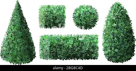 Realistic garden bushes. Topiary gardener fence, geometrical tree crown bush foliage nature green seasonal shrub, green fence vector illustration set Stock Vector