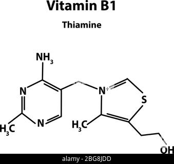 Vitamin B1. Thiamine Molecular chemical formula. Infographics. Vector illustration on isolated background. Stock Vector