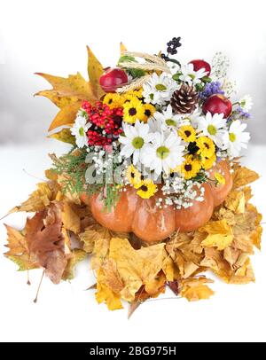 Beautiful autumn composition in pumpkin with yellow leaves isolated on white Stock Photo