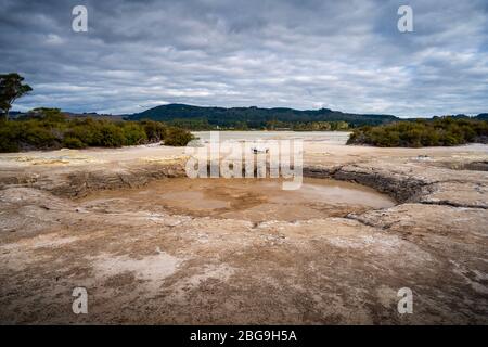 Cameron's Laughing Gas Pools, Sulphur Point Walk, Rotorua, North Island, New Zealand Stock Photo