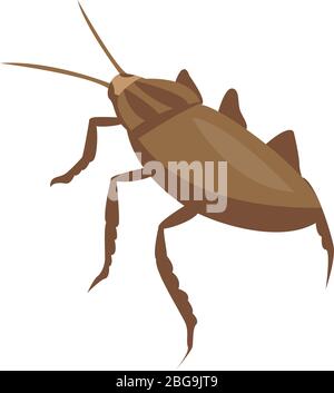 Nature cockroach icon, isometric style Stock Vector
