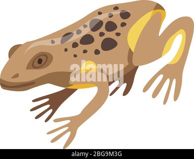 Frog icon, isometric style Stock Vector