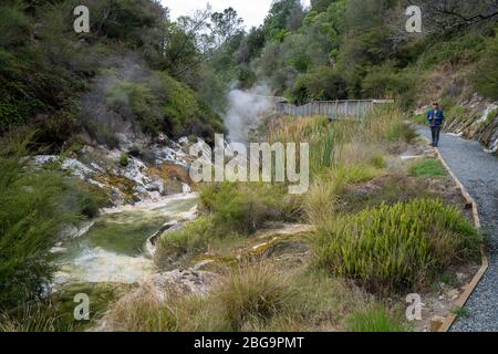 Waimangu Volcanic Valley, Rotorua, North Island, New Zealand Stock Photo