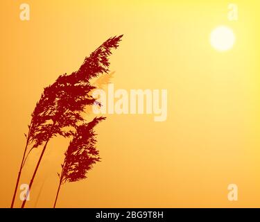 Vector illustration. Background of sunset with vegetal silhouette and copy space. Stock Vector