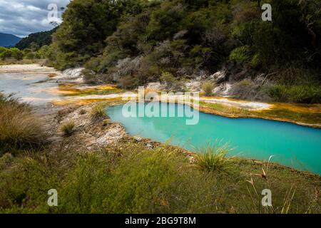 Blue pool in Rift Valley, Waimangu Volcanic Valley, Rotorua, North Island, New Zealand Stock Photo