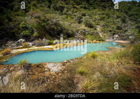 Blue pool in Rift Valley, Waimangu Volcanic Valley, Rotorua, North Island, New Zealand Stock Photo