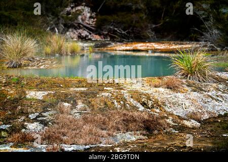 Blue pool in Rift Valley, Waimangu Volcanic Valley, Rotorua, North Island, New Zealand Stock Photo