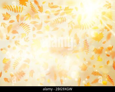 Beautiful autumn background with maple autumn leaves and delicate sun. EPS 10 Stock Vector