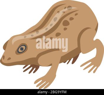 Field frog icon, isometric style Stock Vector