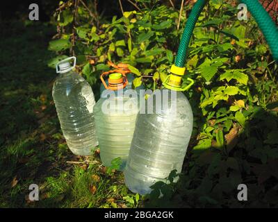 https://l450v.alamy.com/450v/2bga2gk/filling-plastic-bottles-with-water-for-watering-garden-summertime-outdoor-shot-2bga2gk.jpg