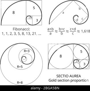 Golden fibonacci ratio spirals. Gold section proportion vector visualization. Spiral proportion golden section illustration Stock Vector