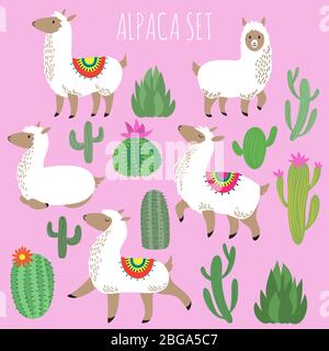 Mexican white alpaca lamas and desert plants vector set. Cartoon lama animal and nature cactus with flower illustration Stock Vector