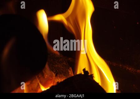 Beautiful fire flames on a black background. Stock Photo