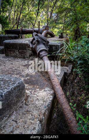 Relics of the gold mining past on the Karangahake Windows Walk, Waikino, North Island New Zealand Stock Photo