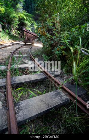 Relics of the gold mining past on the Karangahake Windows Walk, Waikino, North Island New Zealand Stock Photo