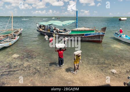 Lamu, Kenya - December 15, 2016: men unloading coral bricks from traditional dhow boat in Lamu town Stock Photo