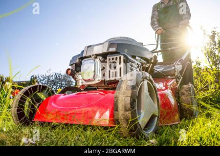 Lawn mower on a sunny meadow Stock Photo