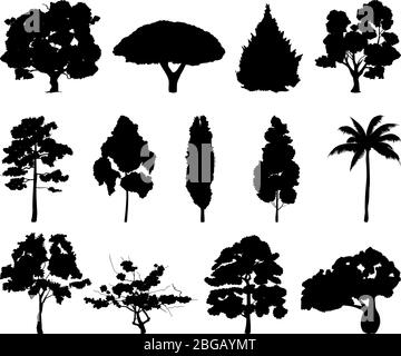 Monochrome illustrations of different trees silhouettes Stock Vector