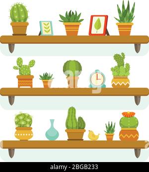 Cactuses in pots stand on the shelves. Decorative plants set isolate on white background. Vector illustrations set Stock Vector