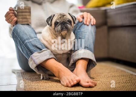 Nice and fun woman owner and old pug dog at home enjoying the relationship and best friends forever concept - sitting on the floor in relax time - pet Stock Photo