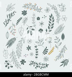 Rustic hand drawn ornaments with branches and leaves. Vector floral frames and borders Stock Vector