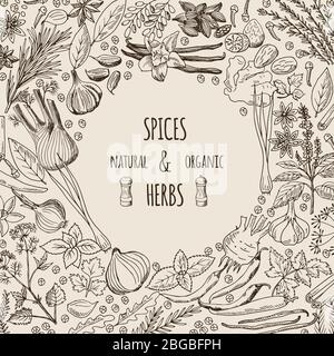 Healthy background illustrations with spices and herbs. Hand drawn pictures with place for your text Stock Vector
