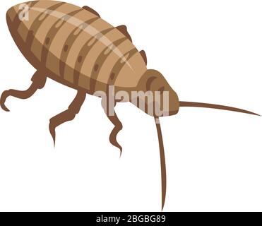 Cockroach bug icon, isometric style Stock Vector