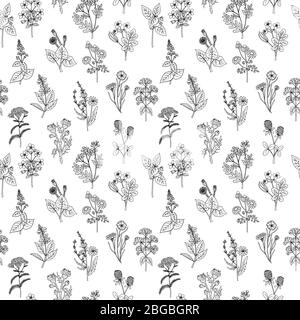 Seamless pattern of various hand drawn herbs and flowers. Background in black and white colors. Graphic style Stock Vector