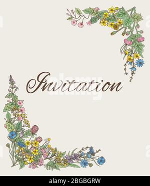 Template for invitation. Card with decoration from hand drawn herbs and flowers Stock Vector