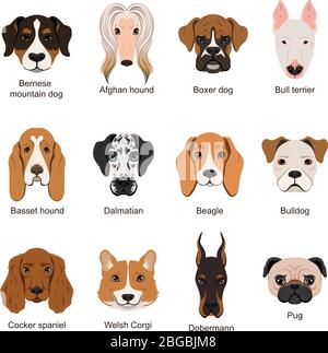 Different dogs. Vector illustrations set isolate on white Stock Vector