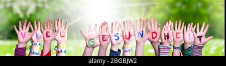 Kids Hands Holding Word Viel Gesundheit Means Stay Healthy, Grass Meadow Stock Photo