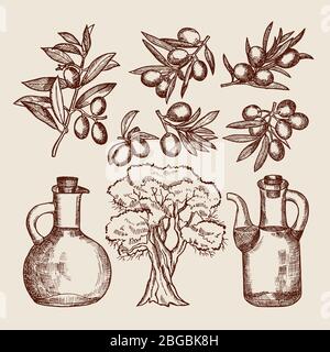 Olive oil in bottling. Olive tree and other hand drawn foods Stock Vector