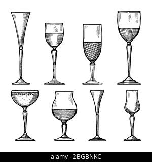 Set of different drinking glasses. Vector hand drawn illustrations Stock Vector