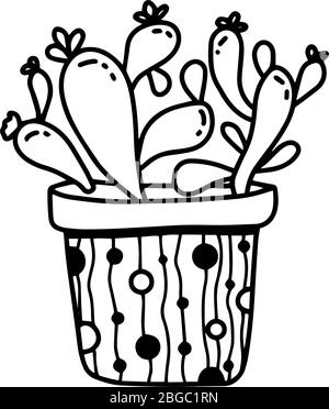 Hand drawn house plant succulent in pot in doodle cartoon style isolated on white background. Vector outline potted plant collection Stock Vector