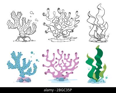 Vintage and colorful corals, seaweeds and underwater wildlife plants set. Vector illustration Stock Vector