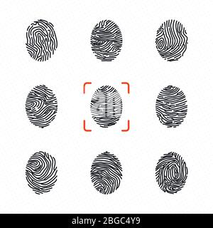 Set of individual fingerprints for personal identification. Vector illustrations Stock Vector