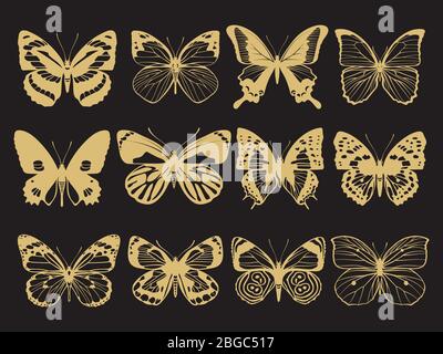 Golden butterflies decoration of collection on black background. Vector illustration Stock Vector