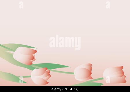 Pink tulips on pastel background flat lay with copy space. Floral greeting card mockup with space for text. Modern vector in flat style. Mothers day c Stock Vector