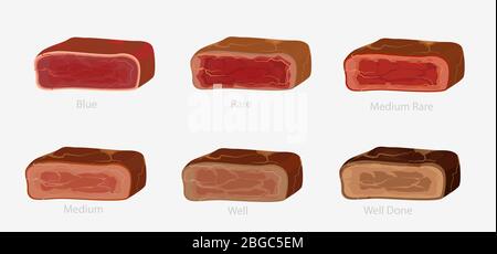 Set of various conditions of steak cooking vector graphic illustration Stock Vector