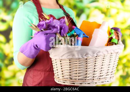 Housewife holding basket with cleaning equipment on bright background. Conceptual photo of spring cleaning. Stock Photo