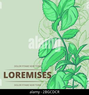 Peppermint green plants and leaves poster banner background. Vector illustration Stock Vector